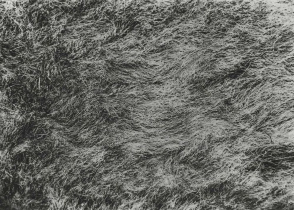 grass-1-1967-68-image-3-cropped