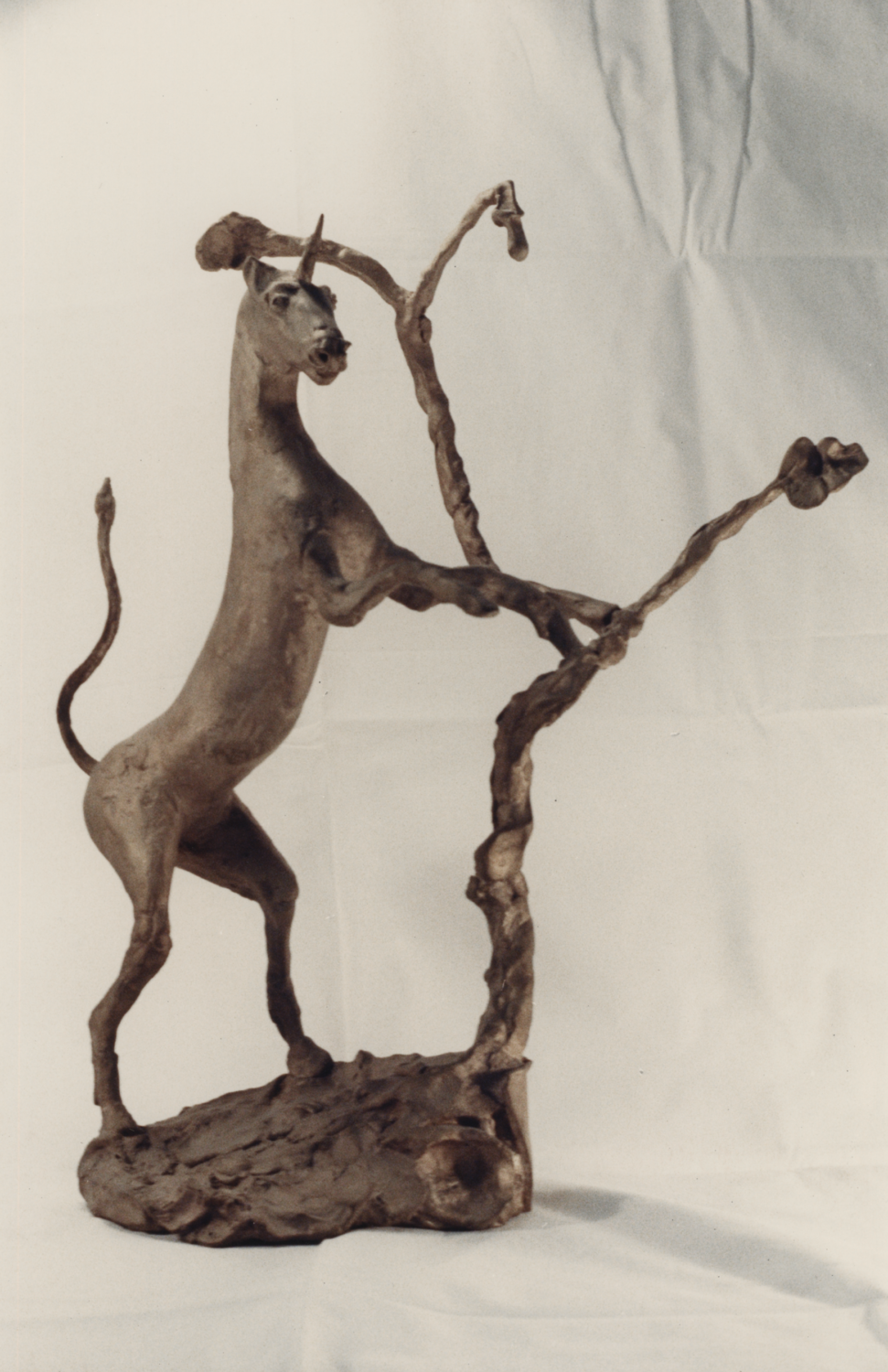 Unicorn and Oak Tree, 1991