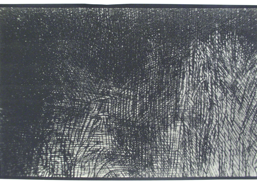 one square inch of a rembrandt etching (2)