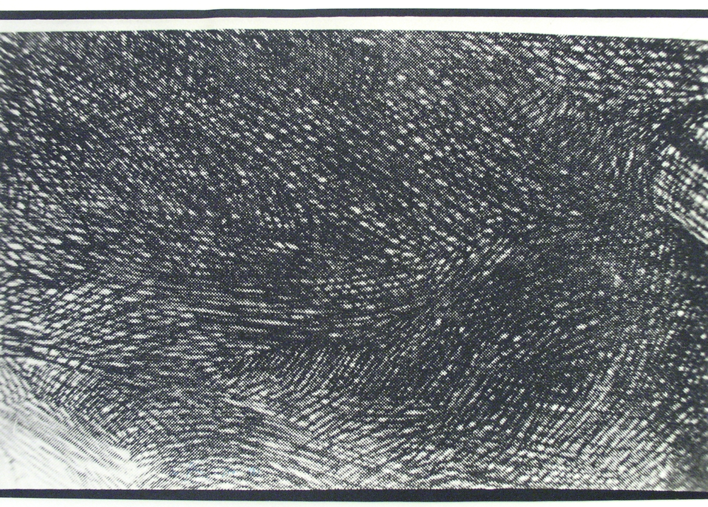 one square inch of a rembrandt etching (3)