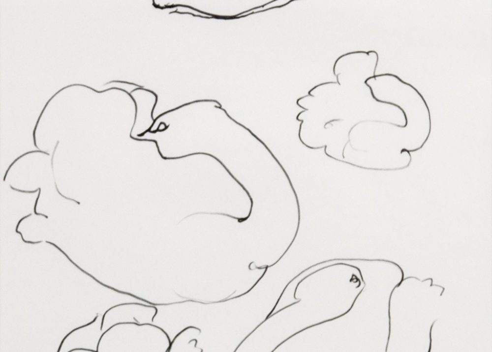30 Swans Nestling, 1976, cropped