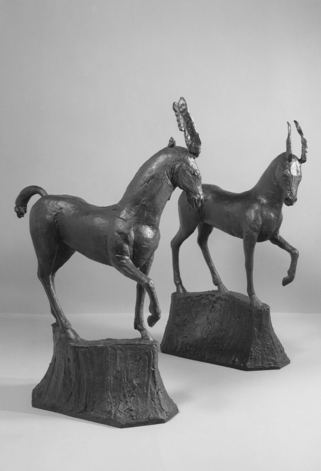 Horse, Mirrored (Cow Girls: Sheep Boys)
