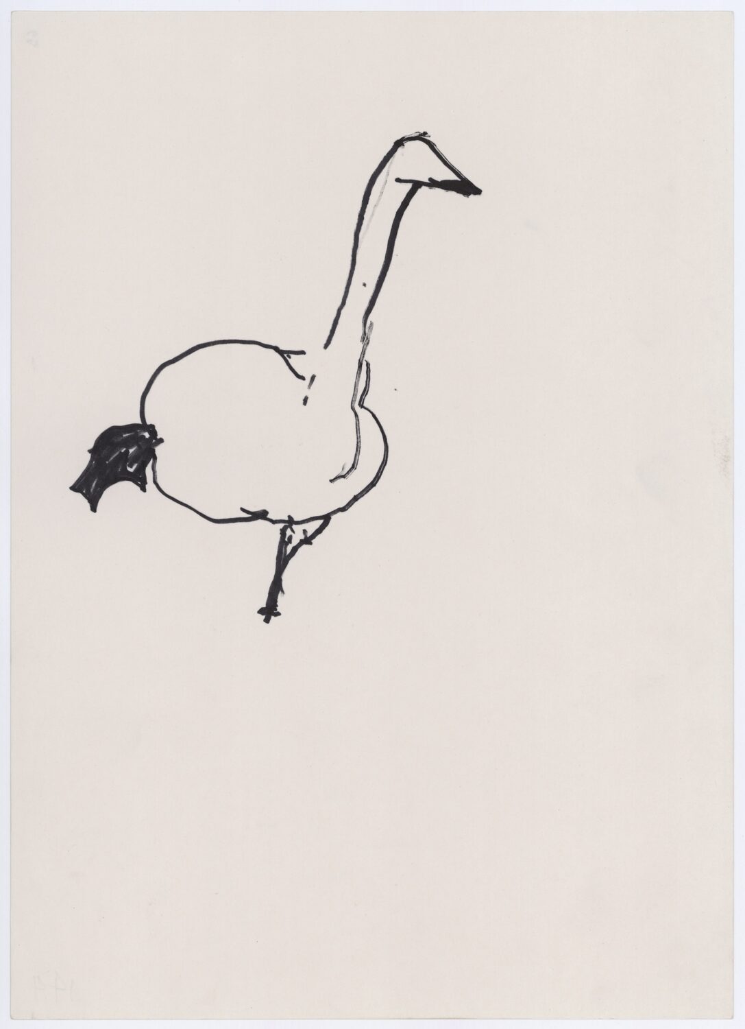 (Bird sketch – bird)