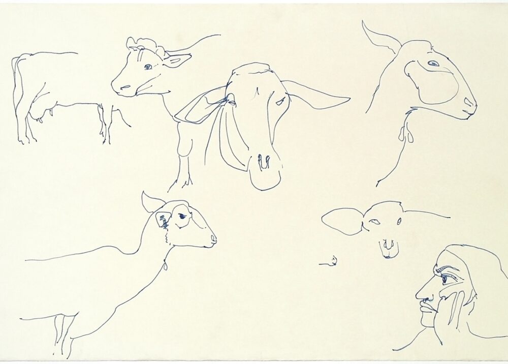 Animal Sketches Cow And Sheep Study With Human <em class="algolia-search-highlight">Head</em>