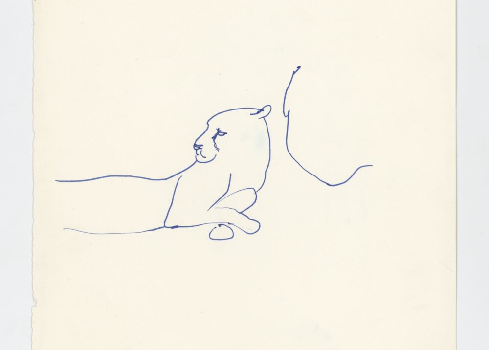 (Animal sketch – cougar)