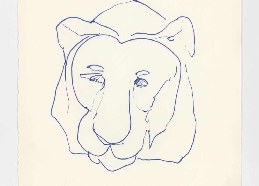 (Animal sketch - lion's <em class="algolia-search-highlight">head</em>)