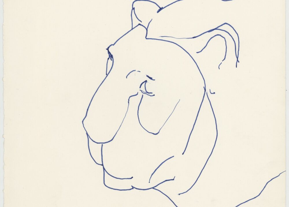 Animal sketch - lion's <em class="algolia-search-highlight">head</em> 2