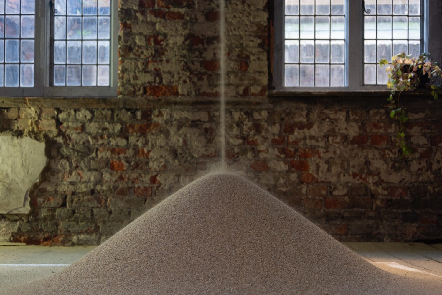 Photography by The Estate of Barry Flanagan courtesy Plubronze