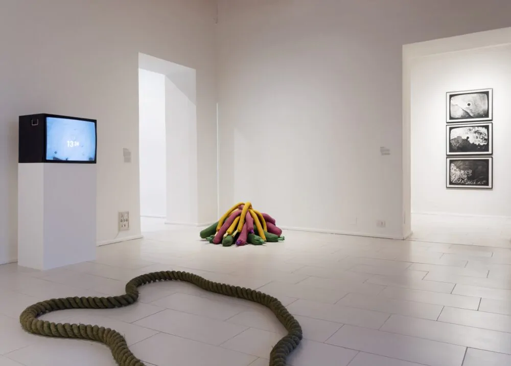 Sculpture speaks louder than words