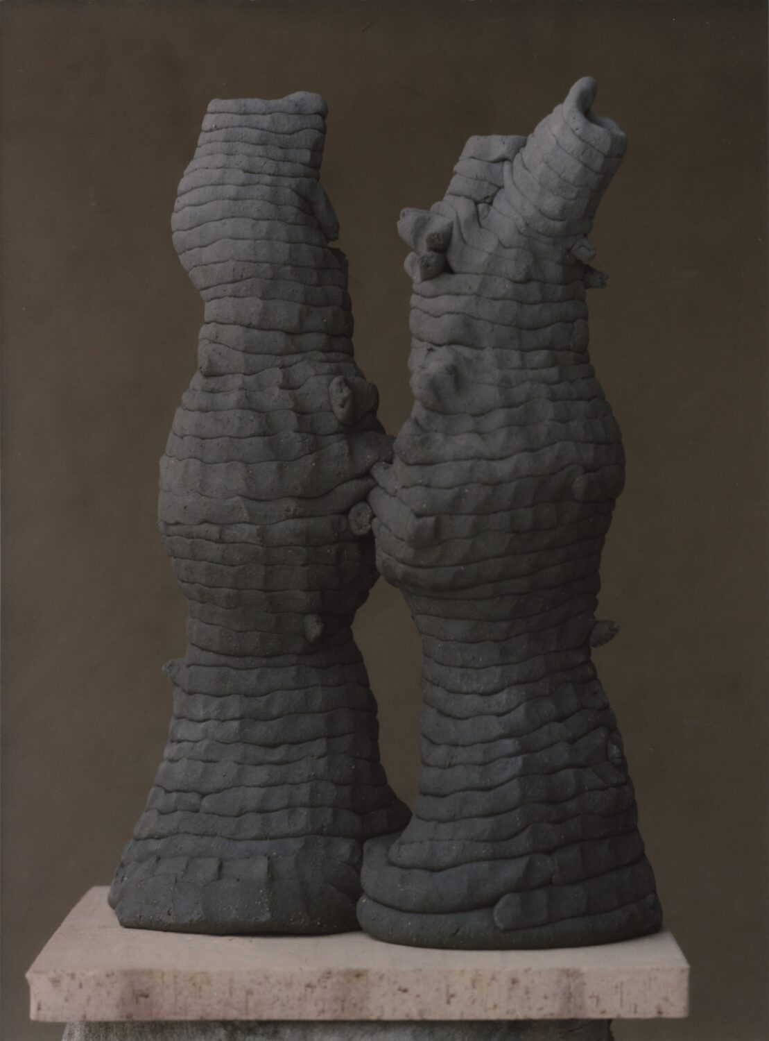 Photography by Marti Catala