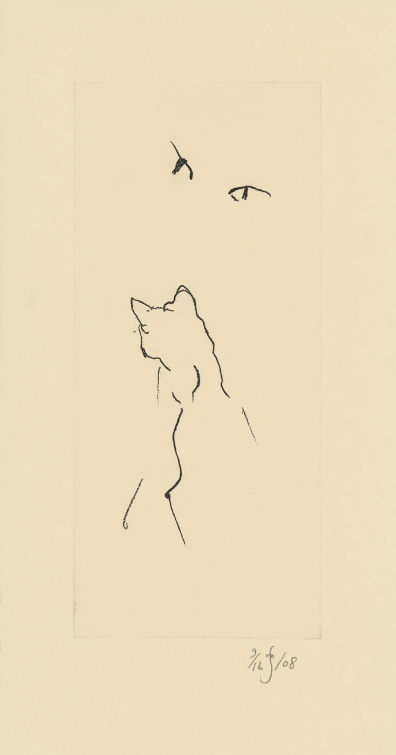 Black Cat (Renate’s House)